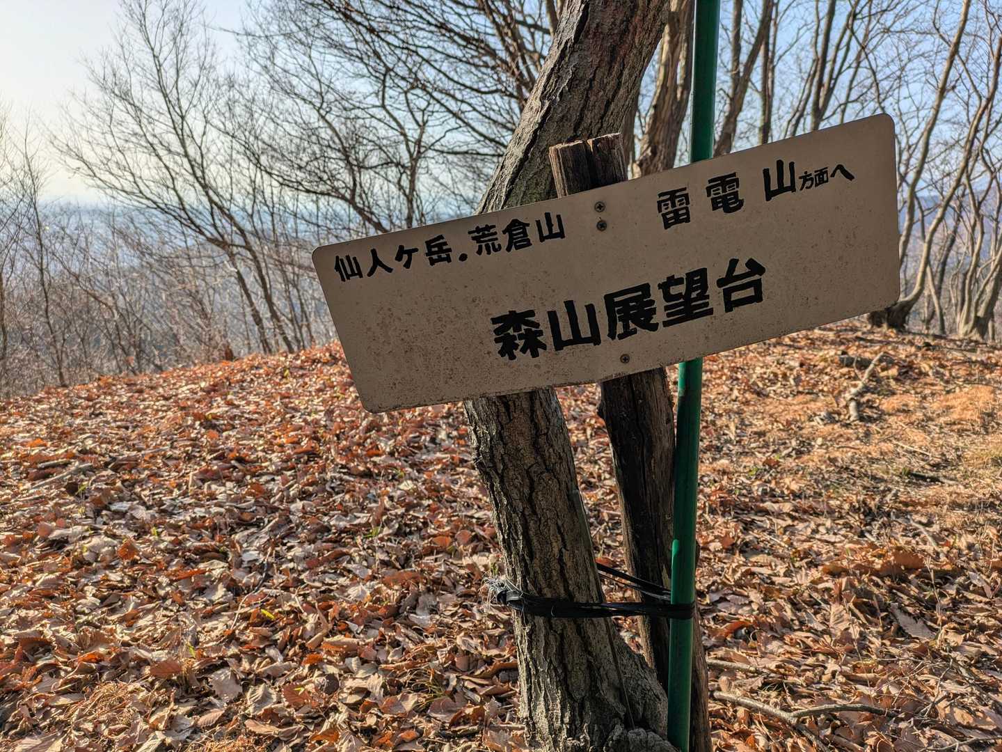 森山展望台