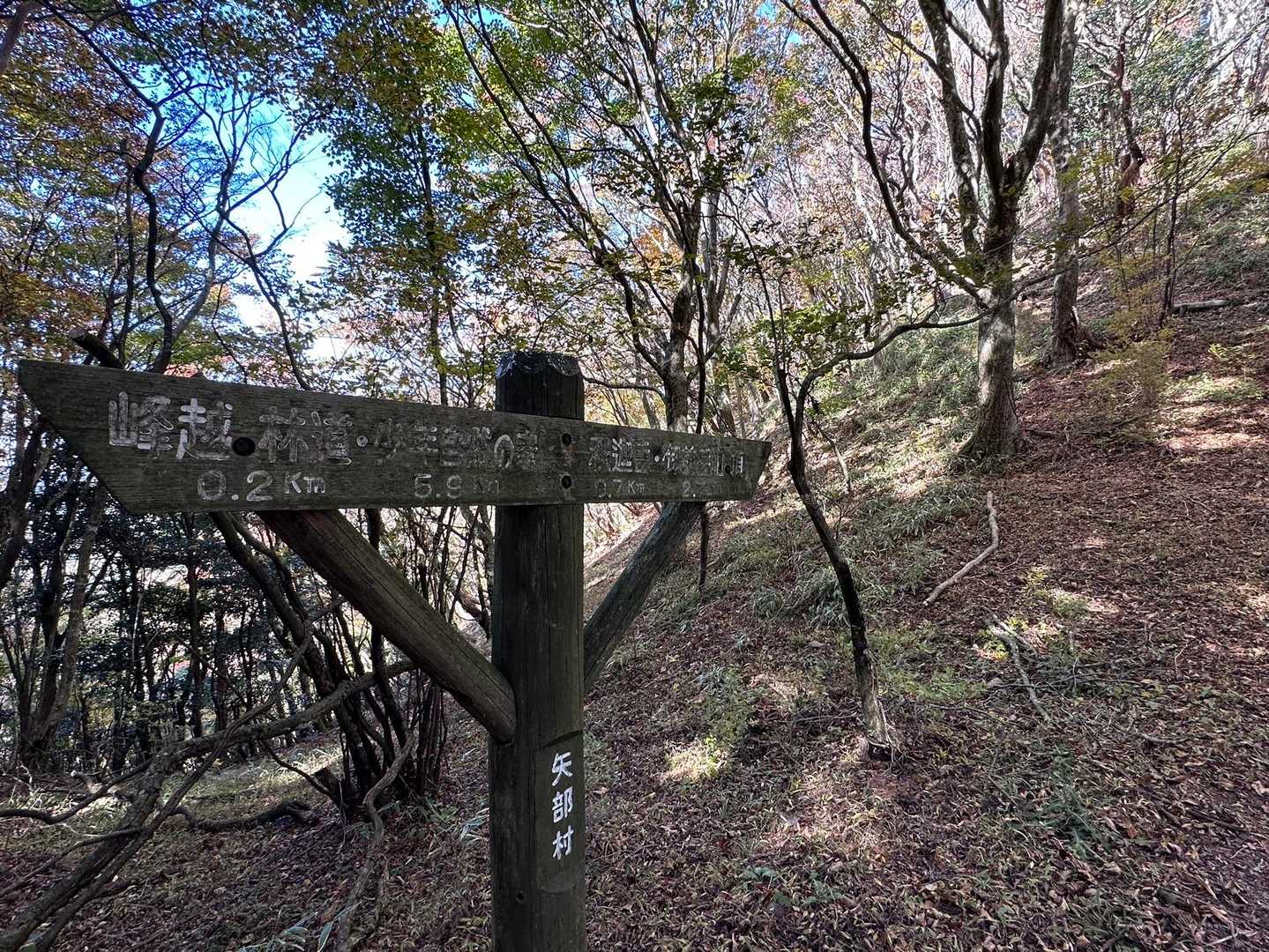 まあまあな勾配の坂と階段、また癒しのストレートを進みます