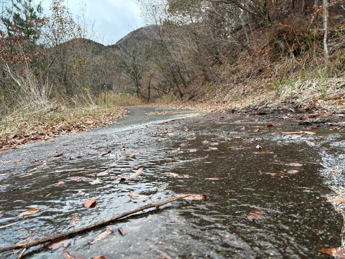 地蔵峠-大矢岳-冠ヶ岳-大矢野岳-太郎ヶ迫-駒返峠 縦走コースの写真
