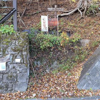 やっと登山口です

ここからしばらくビックリほどの急登でした…😖
