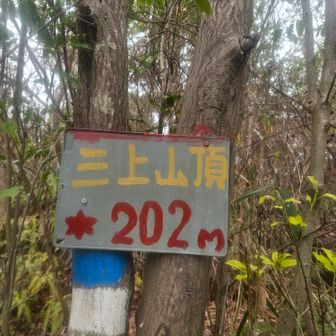 ピークも取りながら…