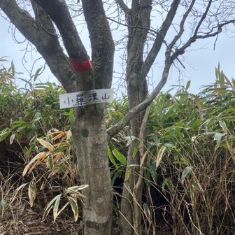 小羅漢山の山頂