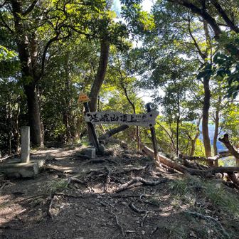 嵯峨山ピークは展望なし😅
