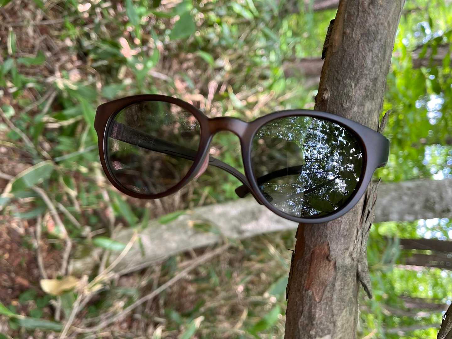 🕶️は必須☀️
首にかけられて使いやすい、実は昨日届いたばかりのほやほや🤭