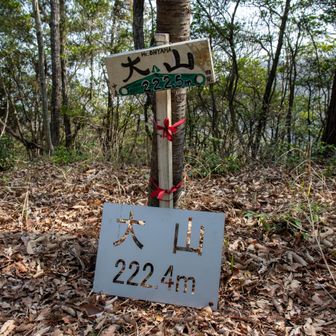 一つ目のピーク、大山へ。
