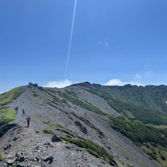山頂に向かいます