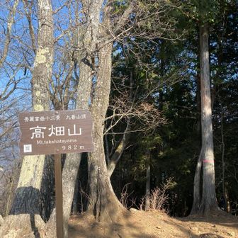 高畑山の山頂に到着