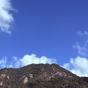 今日は広島の小田山
快晴です✨