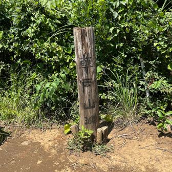 「草戸山364m」山頂標識