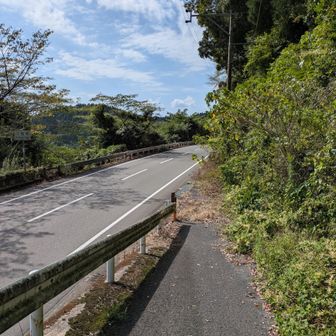無事下山できましたが、足はパンパンでした🤣