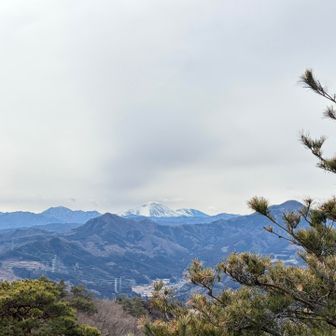 大天狗からの浅間山