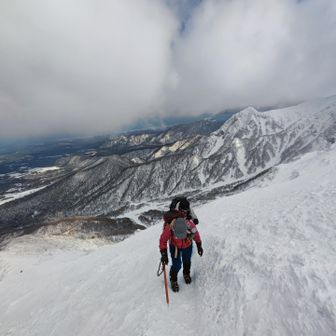 キノコ🍄ちゃん