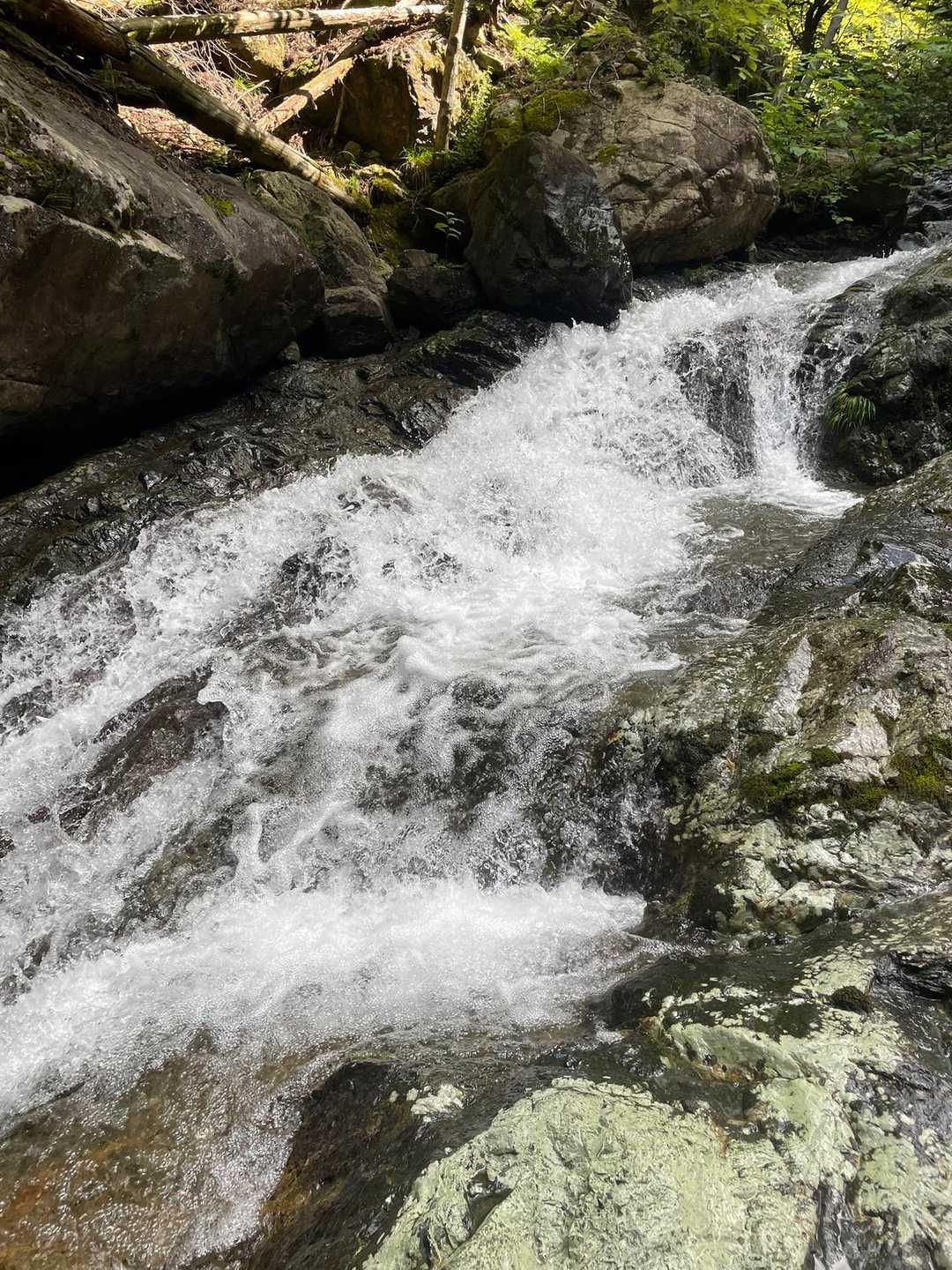 結構な水流、初めて来た沢ですが、
普段はどんな感じでしょう