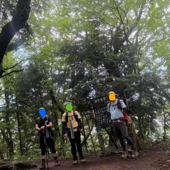 気温は23℃くらい
しかし登りは蒸し暑く昨日よりしんどかった