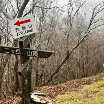 ここから東赤石の方に行けるらしい。赤石山系を網羅できそうな分岐点。