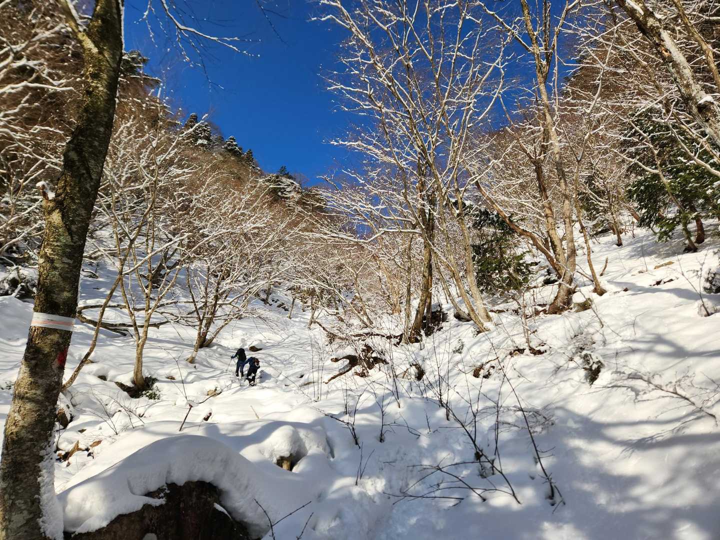 金糞峠手前