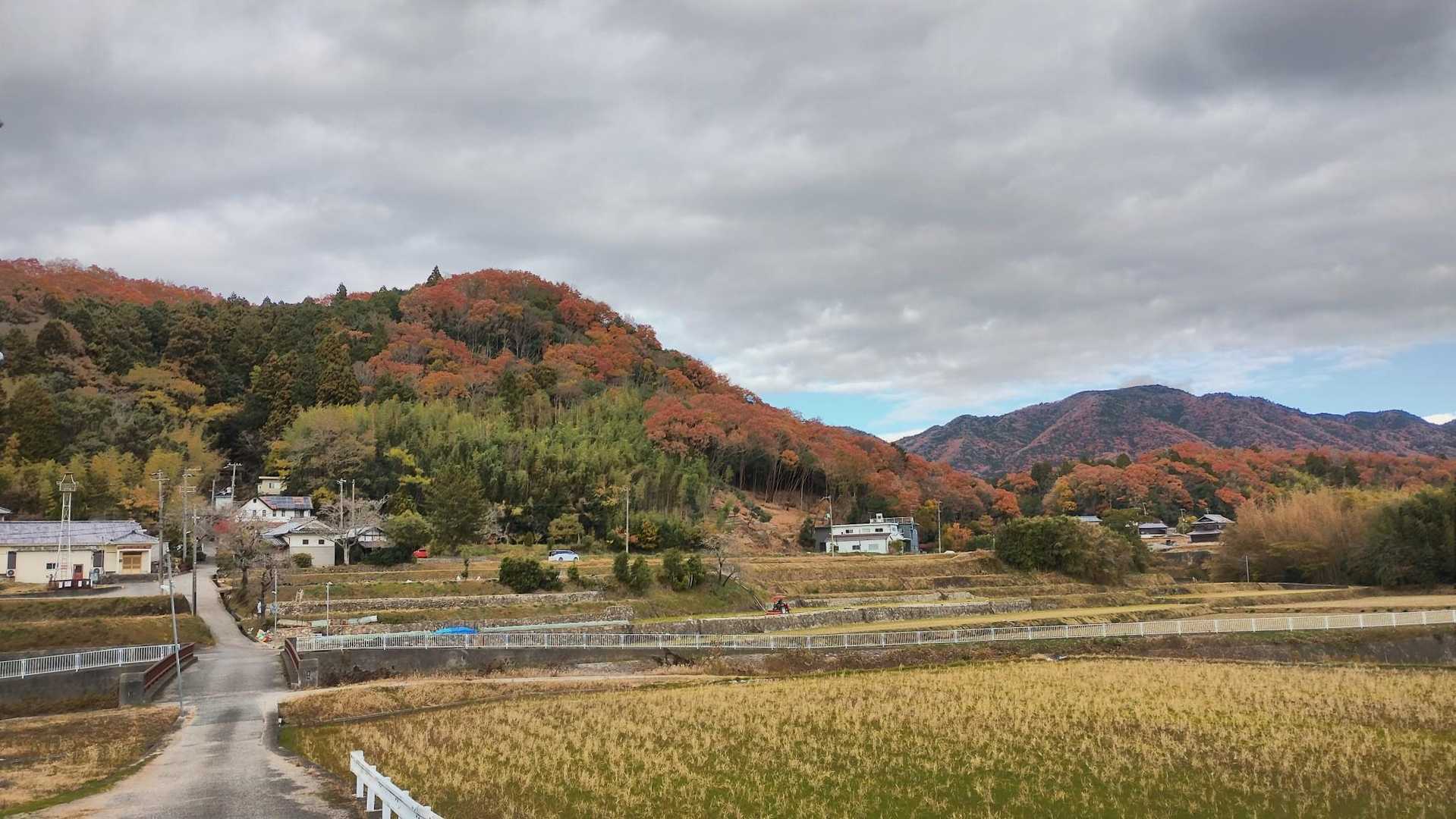 いい時期に来れたなぁ🍁
