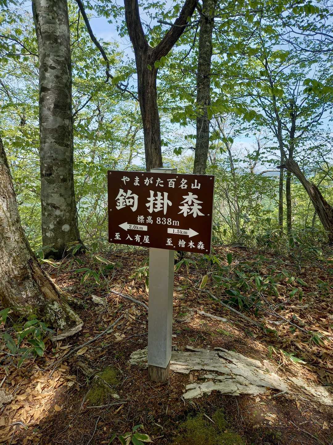 鉤掛森 往復コースの写真