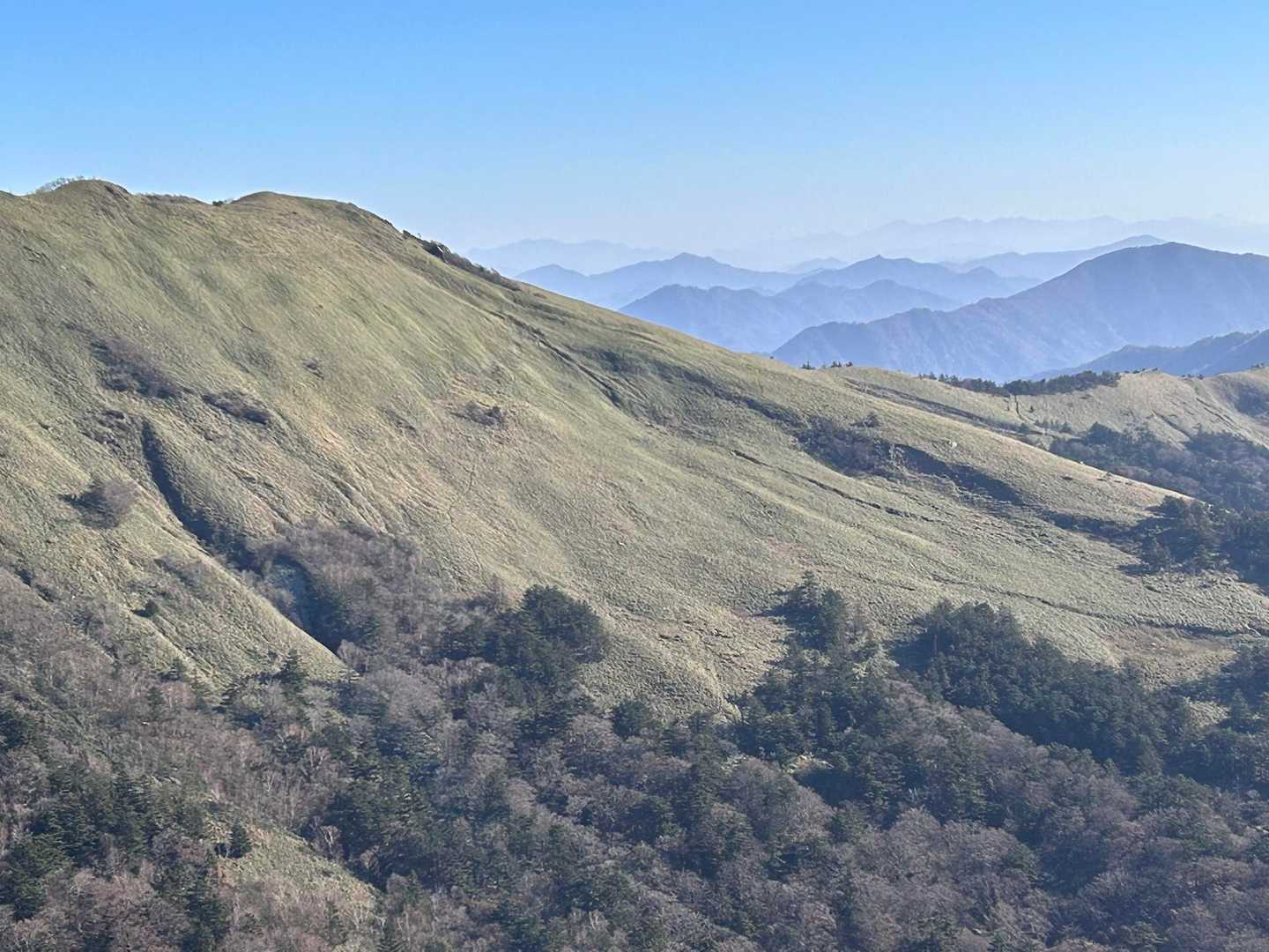 笹ヶ峰南登山口-笹ヶ峰 往復コースの写真