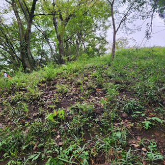最後、むすび山からの下山道が本日いちの藪〜😵出だしは道かどうか一見わからないレベル💦酷いのは短距離でよかった。折りたたみ傘活用☂️
丹沢主脈も、高川山〜むすび山縦走も、メジャー人気ルートだと思うけど🌿🌿🌿💦
やっぱり藪を完全には避けられないよね😮‍💨