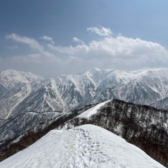 日白山登頂　1631m

真正面には谷川岳🏔️
右手には平標山、仙ノ倉山🏔️

ここでランチタイム🍜
下越山岳会の方々や大勢の人で、とても賑やかな山頂休憩が出来ました☕️😊