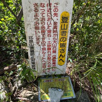 金糞峠です
　「青ガレ」への降り口
　ちなみに、『金糞』は古代製鉄時のスラグを指すと言われますが、付近の岩がそのような色＝茶色系に着色」という事でしょうか？（→この点、確認できてません。）