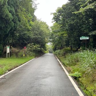 ロードに出たらまた雨☂️
もう汗でびしょ濡れなんでいっしょですけども