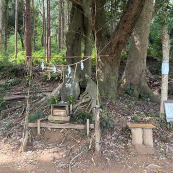 山の神さまありがとう😊