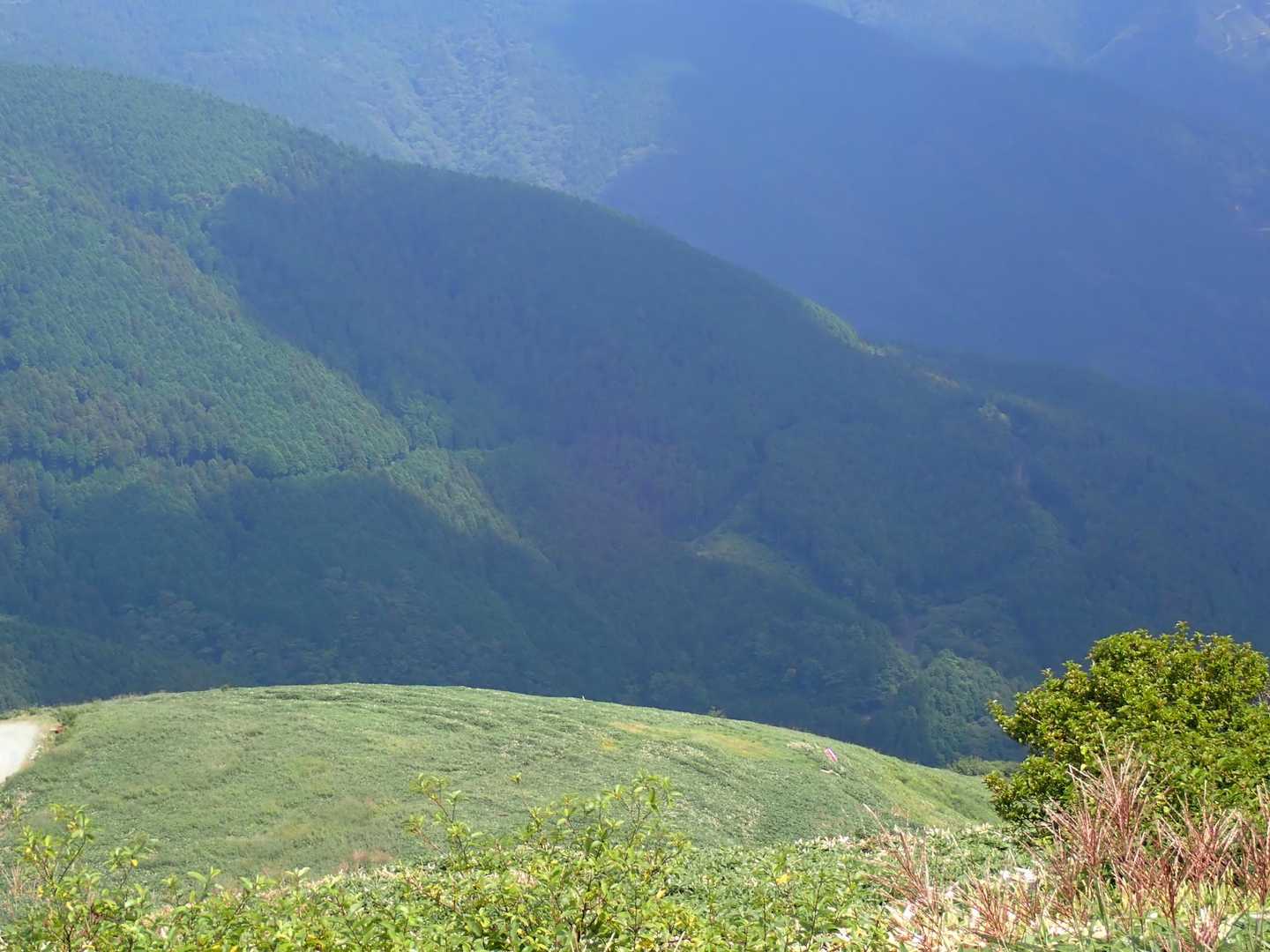 中津山 往復コースの写真
