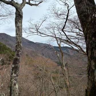 雨山の方だったか？ちょい忘れました。