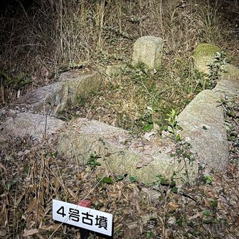 古墳って個人的には丸いポッコリしたものをイメージしますが、ここまでリアルなお墓形状していたらドキッとしますね、しかも暗闇で😱