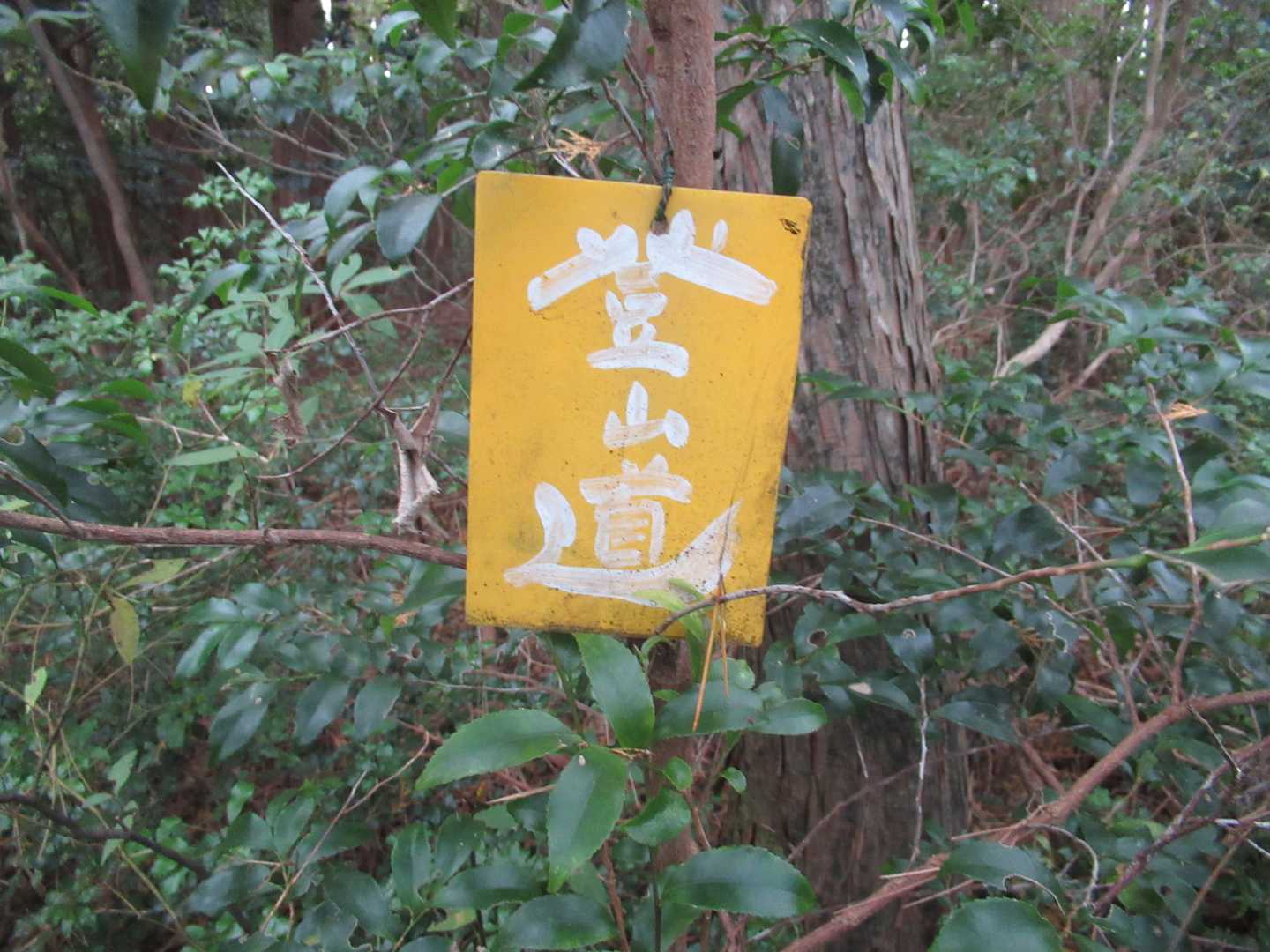 1つだけ見つけました