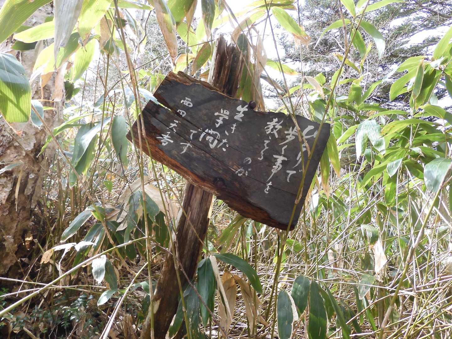 うんうん🤔