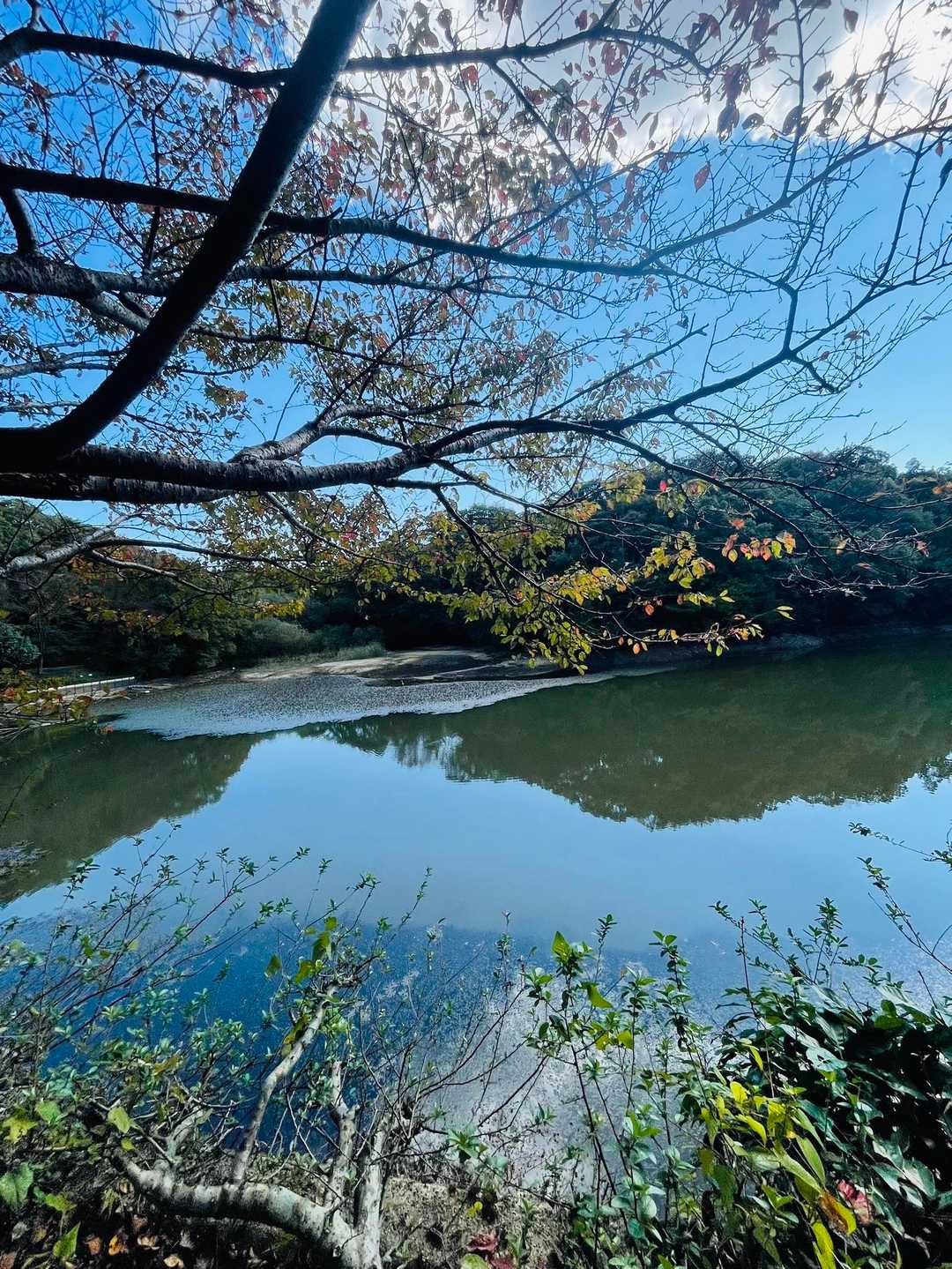 白旗池