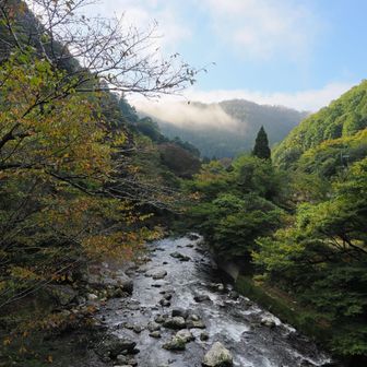 堂承川？