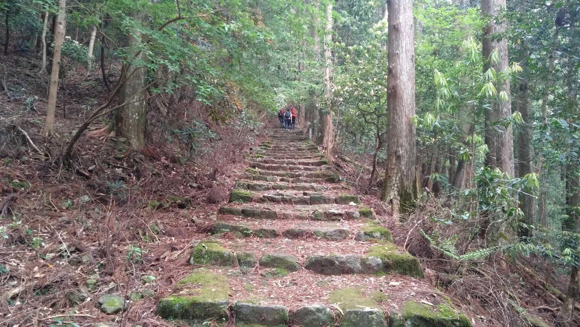 階段が続きます