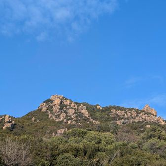 玉野アルプス、王子ヶ岳
あなたには青空が大変似合います💙
とっても楽しいお山でした。