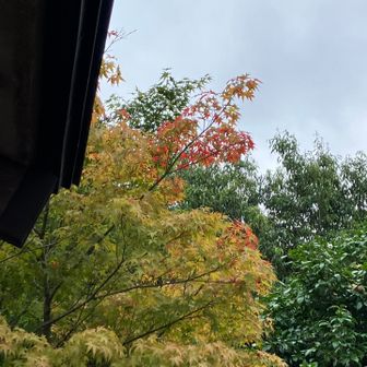 本堂はそろそろ秋の気配🍂
