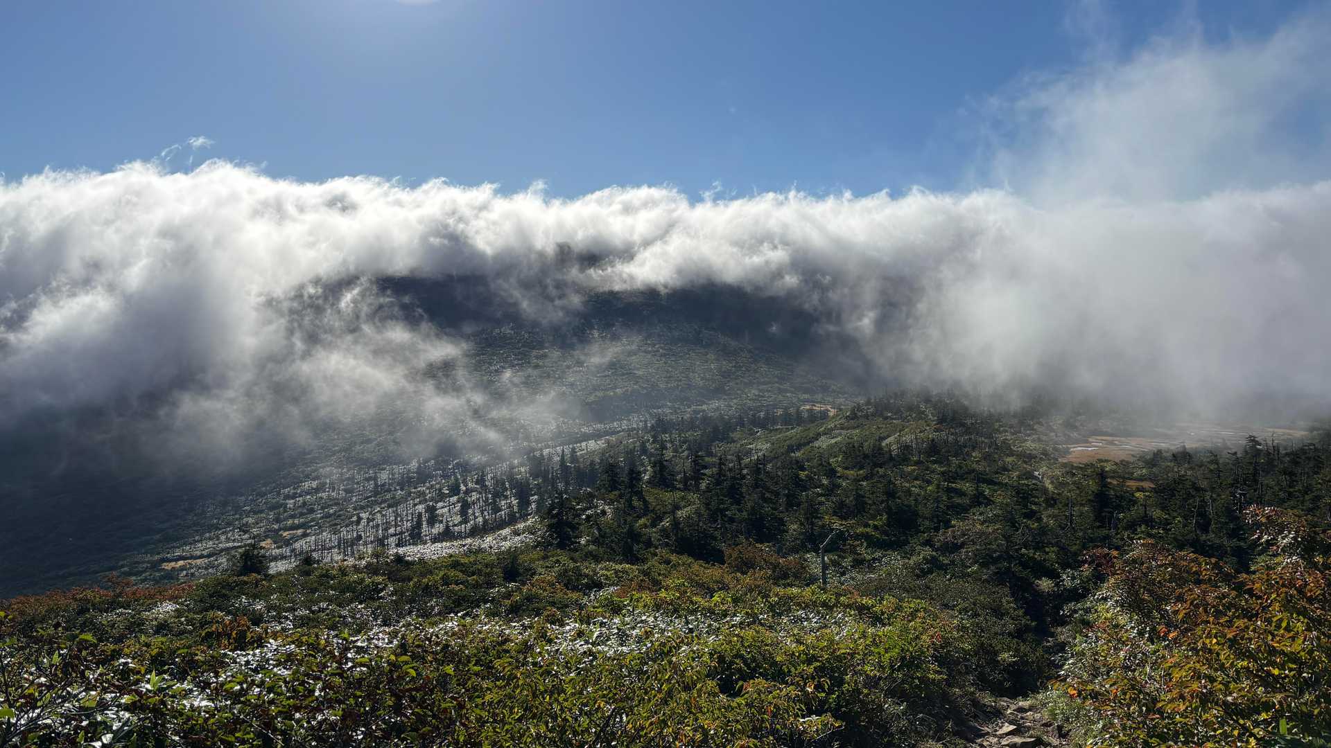 刈田峠-前山-杉ヶ峰-屏風岳 往復コースの写真