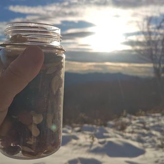 南側ベンチで休憩しますよ