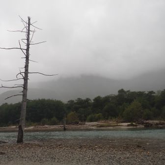大正池　焼岳の姿はありません