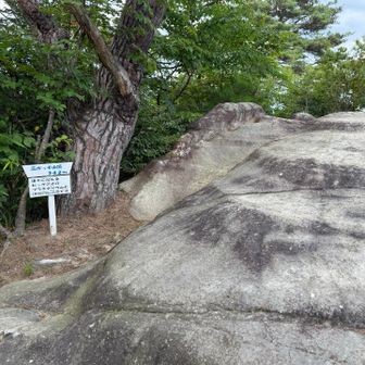 高ぼっち（339m）
表示板には山頂342mとあるが…？？？