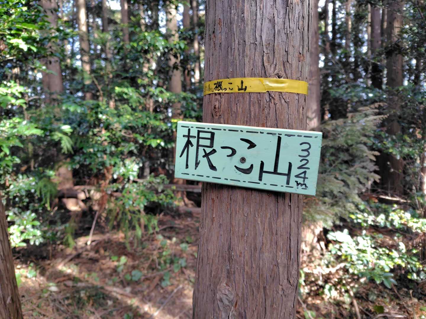 根っこ山