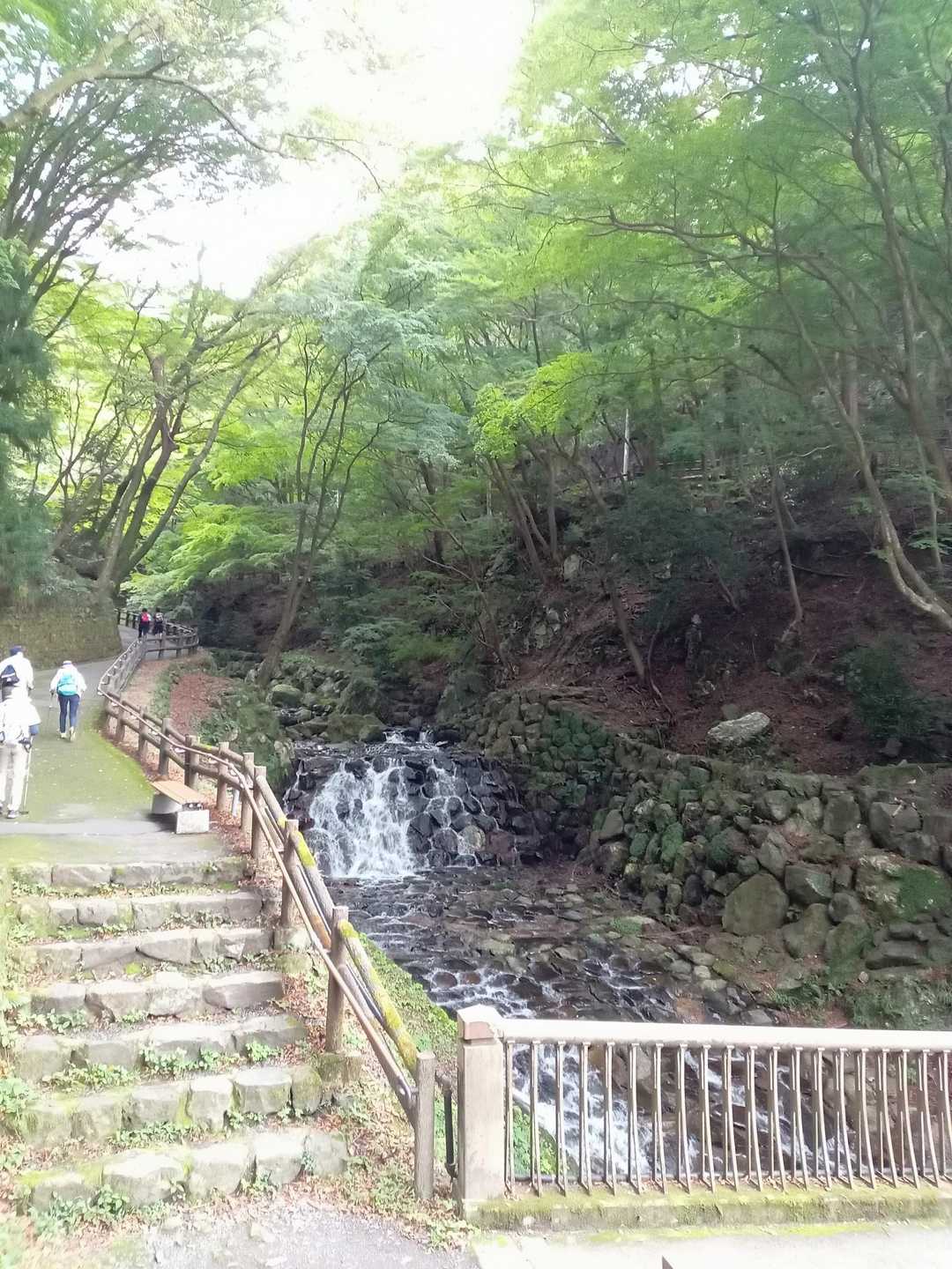 紅葉はまだまだですね。