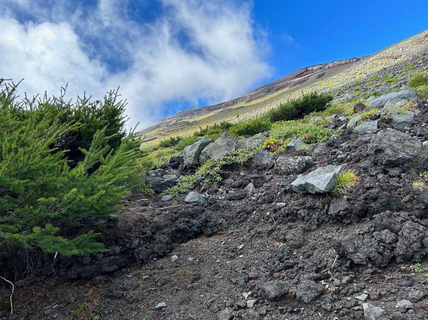 山頂は　近くに見えて　遠かりし
