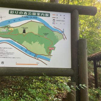 丸子公園とは山挟んで反対側。こっちはちょっと荒れ気味かな🤔