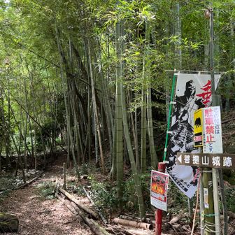 大手道という入口からスタート　竹藪　いきなり蚊に刺されました