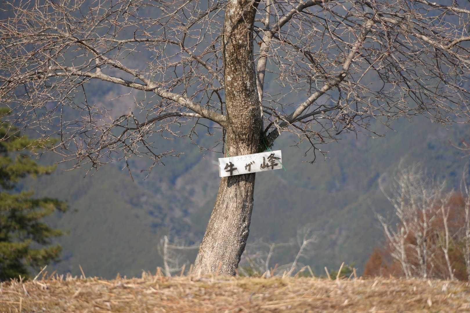 高山 往復コースの写真