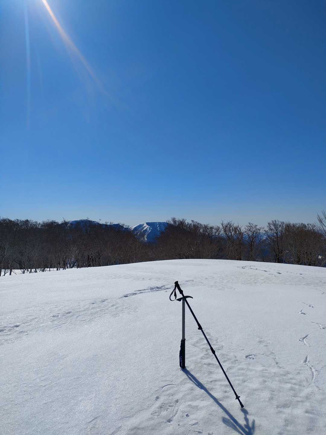 着きました👍広いです
