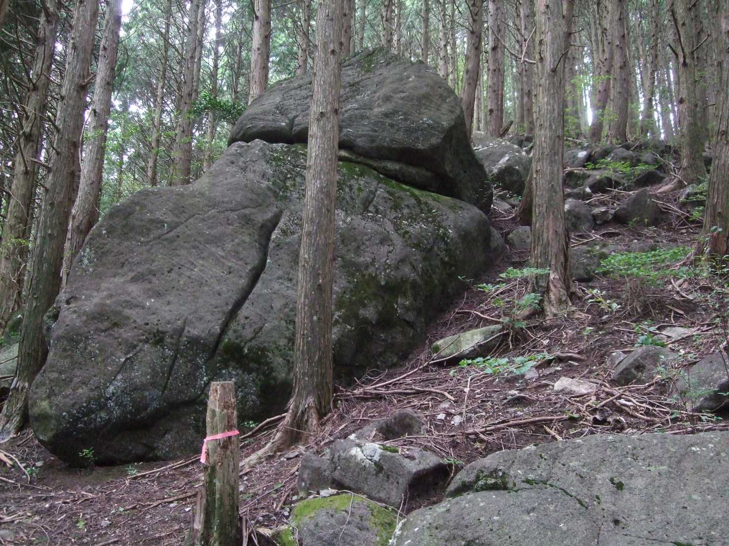 岩が出てきました。
